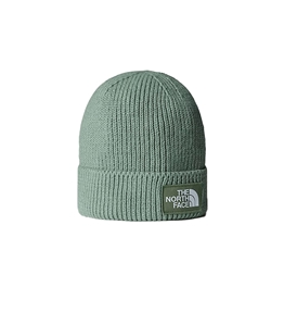 The North Face - Hats - cap with implication and logo box tnf slate moss-bark mit