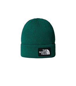 The North Face - Hats - cap with implication and box tnf evergreen logo