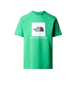 The North Face - T-Shirt - t-shirt redbox con maniche raglan smeraldo optic