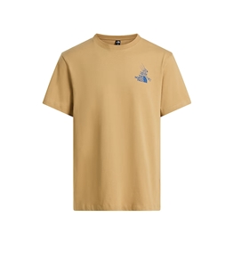 The North Face - T-Shirt - mountain celebration regular t-shirt with unisex khaki stone graphics