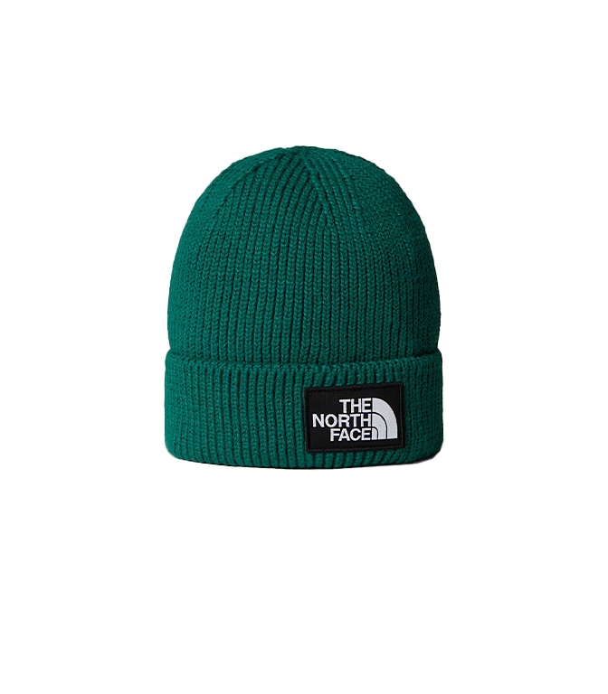The North Face - Cappelli - BERRETTO CON RISVOLTO E LOGO BOX TNF EVERGREEN